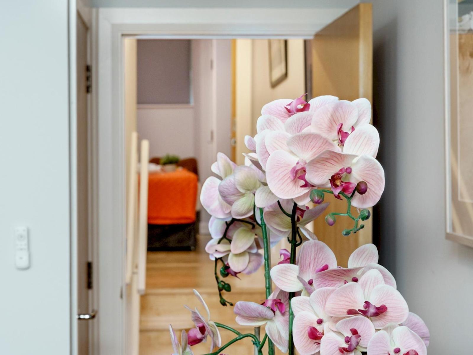 The Linen Mill Apartment Pass The Keys ベルファスト エクステリア 写真